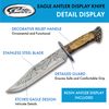 Szco Supplies 15" Etched Blade Deer Outdoor Hunting Knife With Resin Antler Display Stand,Brown