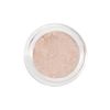 Reflectives® Mineral Concealer Powder Mini 0.5 g (Neutral Light)
