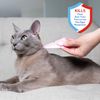 ADAMS Plus Flea & Tick Spot On for Cats 5 lbs and Over