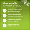 Intestinal flora complex with 16 selected bacterial strains and inulin