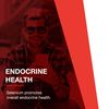 Protocol Selenium 200mcg - Immune Support, Thyroid & Prostate Health* - Selenium Supplements - Vegetarian, Kosher & Halal - 90 Veg Caps