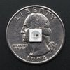 Adafruit 5050 RGB LED with Integrated Driver Chip - 10 Pack