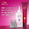Wellaton 2+1 Milky EX 8G, Brighter Warm Brown, Quasi-Drug, Fashionable Dye for Gray Hair