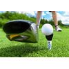 RECTEEFIER Chapman Pack - Slice/Hook Modification Golf Tees