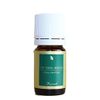 Rose Absolute Essential Oil (0.2 fl oz (5 ml)