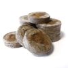 Elixir Gardens Jiffy Coir Seed Starter Pellets for Propagation & Germination | 20mm x100