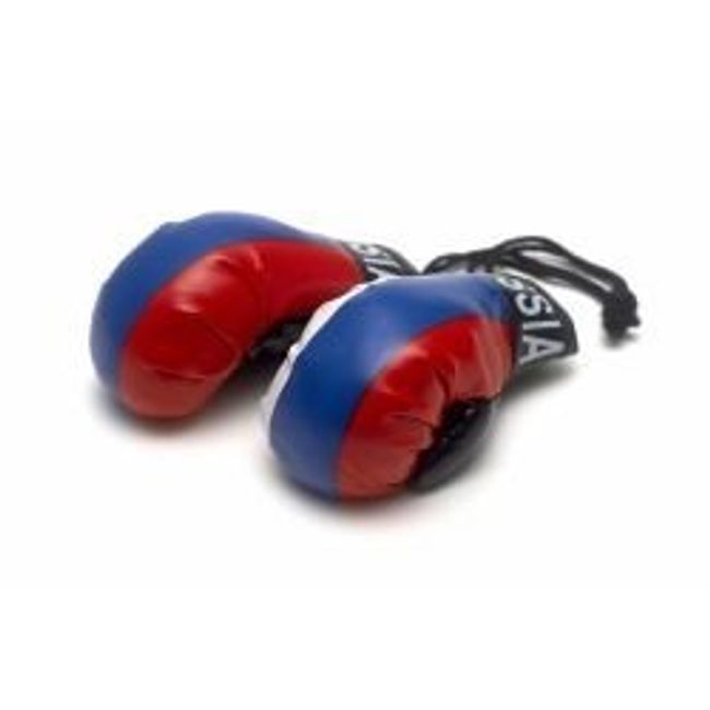 Mini Boxing Gloves - Russia