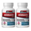 Polysaccharides Powder - Echinacea 400mg - Advanced Antioxidant PIlls 2B
