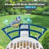 Smart Bird Feeder with Camera Solar Powered & AI Bird Identification