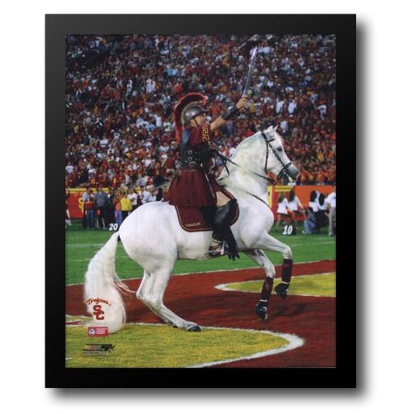 Traveler, the USC Trojans Mascot 2007 12x14 Framed Art Print