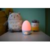 GroEgg Thermometer