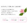 Ichikai Smooth Smooth Care Conditioner Pump, 16.9 oz (480 g), Hair Care, Damage Care, Sulfate Free
