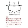 スチール 脱腸帯 5号 右