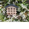 Apples to Pears Build A Bee Hotel Gift In A Tin