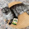 Pet Omega 3 Support Supplement 180 Chewable Tablets