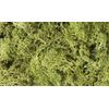 Woodland Scenics Lichen GRN, Light Green