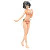 Hasegawa SP401 Assorted Model Kit