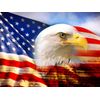 4th of July Eagle & Flag ~ Edible Image Cake Topper
