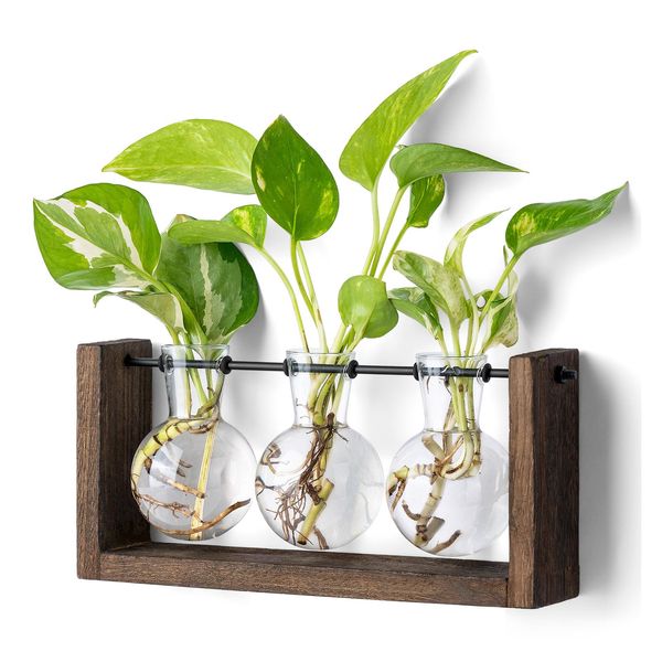 Mkono Plant Propagation Station with Wooden Stand, Wall Hanging Glass Planter Tabletop Terrarium Bulb Vase for Hydroponics Plants Home Office Decor