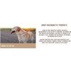 Maximum Pet Products 30ft Red Beige Black dog training lead