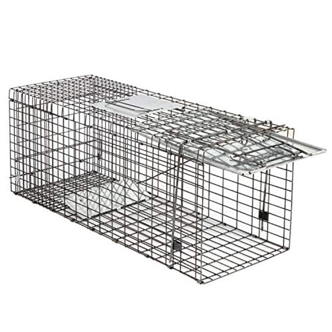 Humane Catch Release Live Animal Collapsible Galvanized Wire Trap Cage