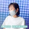 ARDW Mask (Gray + Blue) Size M (x 1)