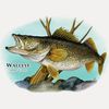 CafePress Walleye Unique and Funny Shot Glass