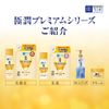 Hada Labo Gokujun Premium Hyaluronic Liquid Lotion Refill, 6.1 fl oz (170 ml) (x 1)
