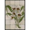 1624 Phajus Tuberculus Orchid  Mural Tumbled Marble Tiles Kitchen Ideas
