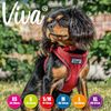 Other Viva Nylon Step In Comfort Mesh Harness Red Large, Clear