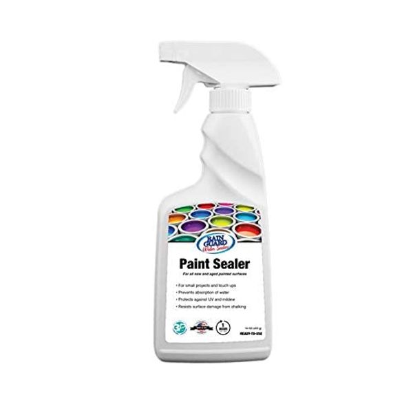 Rain Guard Water Sealers SP-9006 Paint Sealer 16oz Spray - Clear Semi-Satin Finish - Water Repellent Protection for All Painted Surfaces - Water-Based Silane/Siloxane Acrylic