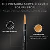 Chaun Legend LGND 100% KOLINSKY Acrylic Brush #12