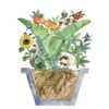 Liquid Plant Nutrient Magnesium Supplement for bloom  OMRI