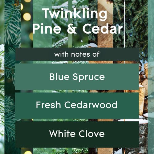 Glade Candle Jar, Air Freshener, Twinkling Pine & Cedar, 3.4 oz, 2 Count