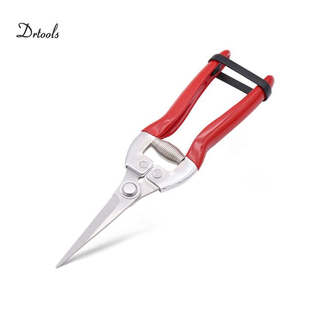 Portable Garden Stainless Pruning Shears Fruit Picking Scissors Household  Potted Trim Branches Small Gardening Tools