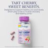 Tart Cherry Extract Antioxidant Supplement 90 VegCaps for Joint Support