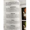 Brain Boosters & Picture Puzzles from Penny Press Volume 1
