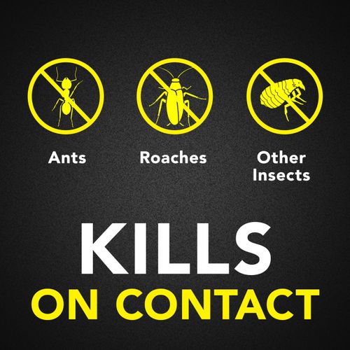 Raid Ant & Roach Killer Spray For Listed Bugs, Keeps Killing for Weeks, Lemon Scent, 17.5 oz