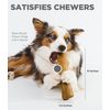 Petstages Dogwood Stick Medium