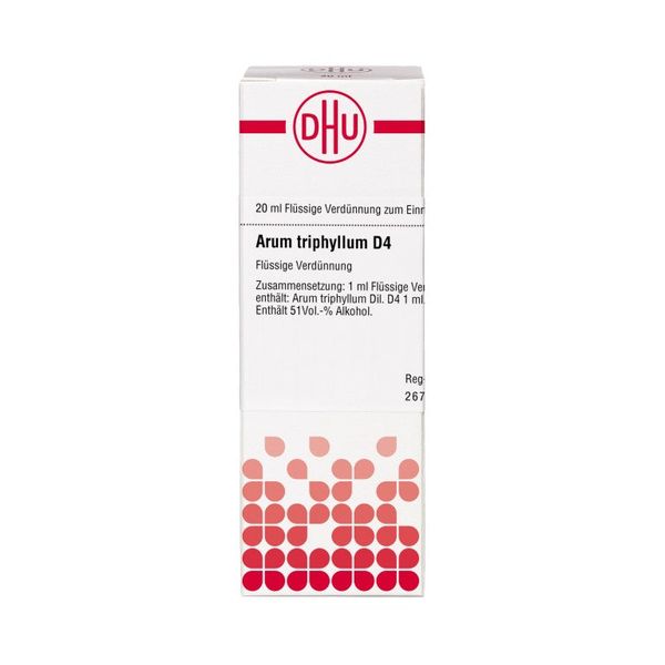 Arum triphyllum D4 DHU Dilution, 20 ml Lösung