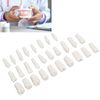 28 Pieces Removable Teeth, Durable Plastic Removable Design False Teeth for Typodont Teaching Study, Replacement Teeth Learning Model