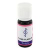 Ylang Ylang L 10ml
