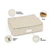 Platter Serveware Storage With Tray - Washable and Stain Resistant, ID Window, Kitchen Storage, Cream