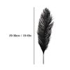 10 Pcs Multicolor Ostrich Feathers for DIY Crafts 25cm-30cm Long