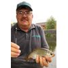 Drennan Sticks