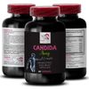 CANDIDA COMPLEX  - Aloe Vera Leaf - Caprylic acid - Anise Seed - Protease - 1 B