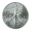 2025 (P) $1 American Silver Eagle Eagle Privy 1 oz Impaired