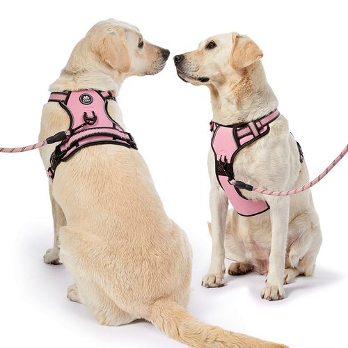 NESTROAD No Pull Dog Vest Harness with Leash, Reflective No-Choke Pet Harness with Easy Control Soft Handle for Small Medium Large Dogs (Medium, Pink)