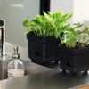 HERE Bottom Watering Pot "Small" Bottom Watering Pot