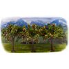 Noch 25513 4.5 cm High Apple Trees Landscape Modelling (3-Piece)
